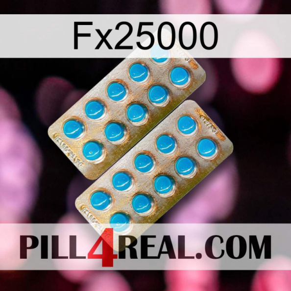Fx25000 new08